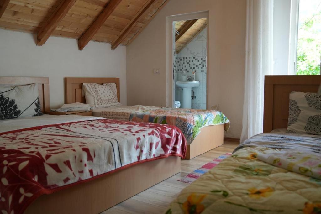 Guesthouse Skender Selimaj Valbone Buitenkant foto
